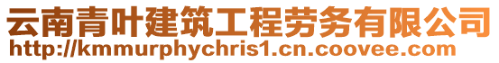 云南青葉建筑工程勞務有限公司