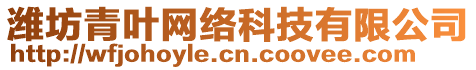 濰坊青葉網(wǎng)絡(luò)科技有限公司