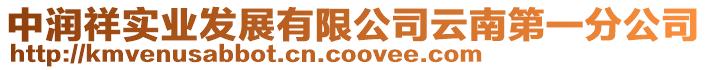 中潤祥實業發展有限公司云南第一分公司