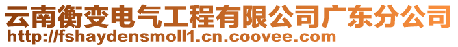 云南衡變電氣工程有限公司廣東分公司