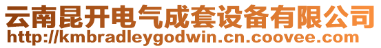 云南昆開電氣成套設備有限公司