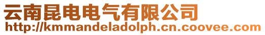 云南昆電電氣有限公司