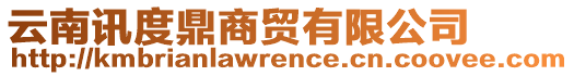 云南訊度鼎商貿有限公司