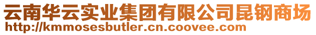 云南華云實業(yè)集團有限公司昆鋼商場