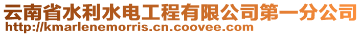 云南省水利水電工程有限公司第一分公司