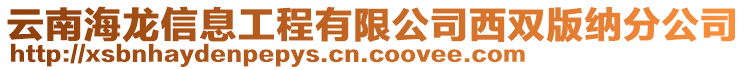 云南海龍信息工程有限公司西雙版納分公司