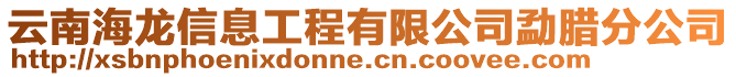 云南海龍信息工程有限公司勐臘分公司