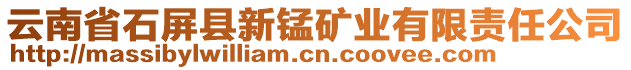 云南省石屏縣新錳礦業(yè)有限責(zé)任公司