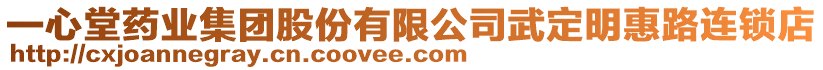 一心堂藥業集團股份有限公司武定明惠路連鎖店