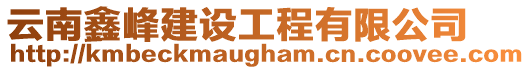 云南鑫峰建設(shè)工程有限公司