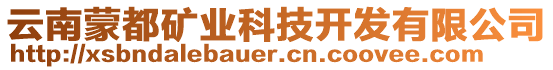 云南蒙都礦業(yè)科技開發(fā)有限公司