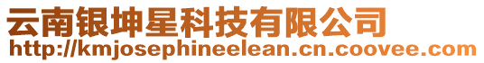 云南銀坤星科技有限公司