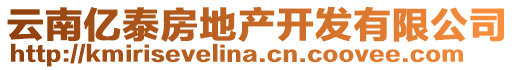 云南億泰房地產(chǎn)開發(fā)有限公司