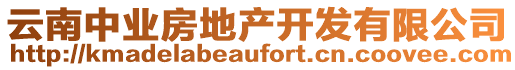 云南中業(yè)房地產(chǎn)開發(fā)有限公司