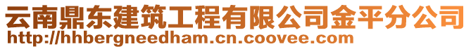 云南鼎東建筑工程有限公司金平分公司