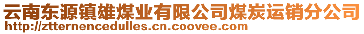 云南東源鎮(zhèn)雄煤業(yè)有限公司煤炭運銷分公司