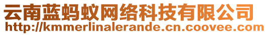 云南藍(lán)螞蟻網(wǎng)絡(luò)科技有限公司