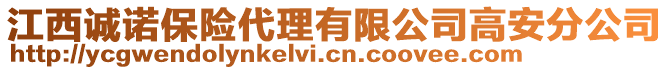 江西誠諾保險代理有限公司高安分公司