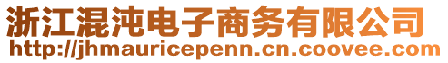 浙江混沌电子商务有限公司