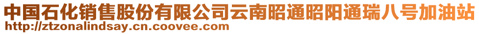 中國石化銷售股份有限公司云南昭通昭陽通瑞八號加油站