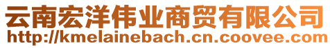 云南宏洋伟业商贸有限公司