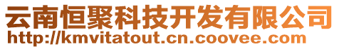 云南恒聚科技開發(fā)有限公司