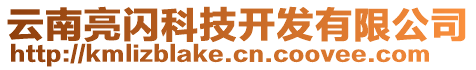 云南亮閃科技開發(fā)有限公司