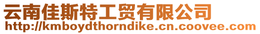云南佳斯特工貿有限公司