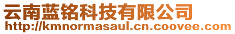 云南藍(lán)銘科技有限公司