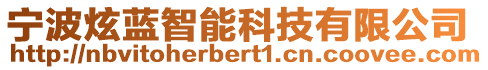 寧波炫藍(lán)智能科技有限公司