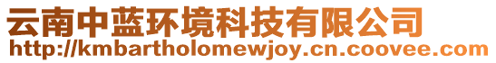 云南中藍(lán)環(huán)境科技有限公司