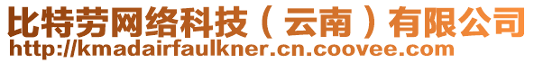 比特勞網(wǎng)絡(luò)科技（云南）有限公司