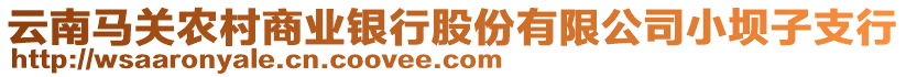 云南馬關農(nóng)村商業(yè)銀行股份有限公司小壩子支行