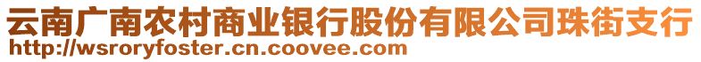 云南廣南農(nóng)村商業(yè)銀行股份有限公司珠街支行