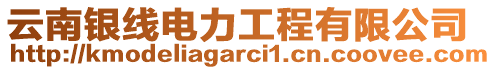 云南銀線電力工程有限公司