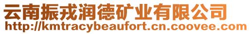 云南振戎潤德礦業有限公司