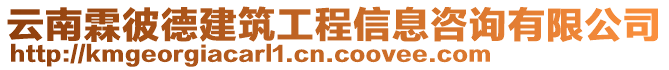 云南霖彼德建筑工程信息咨詢有限公司