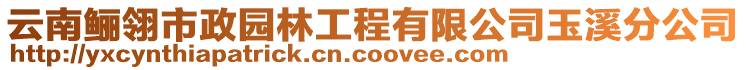 云南鱺翎市政園林工程有限公司玉溪分公司