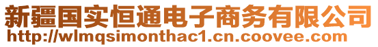 新疆國(guó)實(shí)恒通電子商務(wù)有限公司