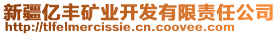 新疆億豐礦業(yè)開發(fā)有限責任公司