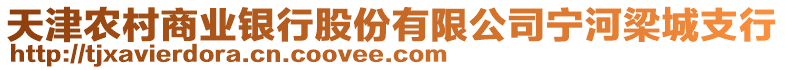 天津農(nóng)村商業(yè)銀行股份有限公司寧河梁城支行