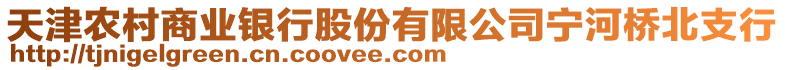 天津農(nóng)村商業(yè)銀行股份有限公司寧河橋北支行