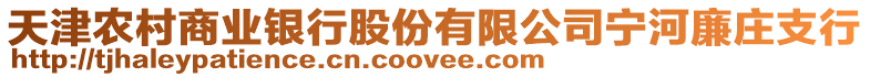 天津農(nóng)村商業(yè)銀行股份有限公司寧河廉莊支行