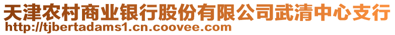 天津農(nóng)村商業(yè)銀行股份有限公司武清中心支行