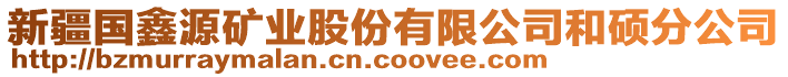 新疆國鑫源礦業(yè)股份有限公司和碩分公司