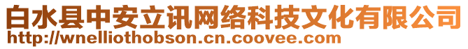 白水縣中安立訊網(wǎng)絡(luò)科技文化有限公司