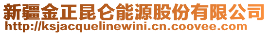 新疆金正昆侖能源股份有限公司