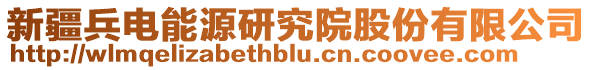 新疆兵電能源研究院股份有限公司