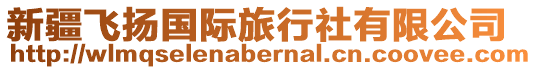 新疆飛揚(yáng)國(guó)際旅行社有限公司