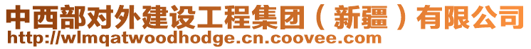 中西部對外建設工程集團（新疆）有限公司